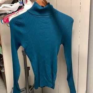 Teal ribbed turtleneck
